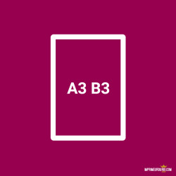 Affiche A3 ou B3