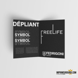 Symbol Freelife folded leaflet
