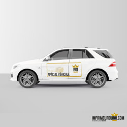 850 micron Special Car magnets